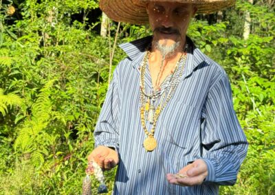 Imagem do WhatsApp de 2025-02-23 à(s) 11.21.44_1077072e